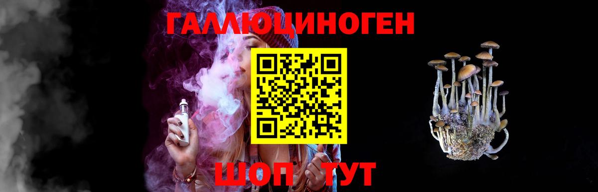 Камень-на-Оби  Псилоцибиновые грибы Psilocybine cubensis  Вход с VPN  Псилоцибиновые грибы мицелий 